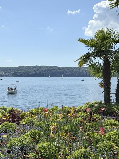 hinter dem blumenbeet mit palmen der see