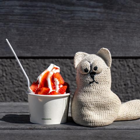 Heute: FroYo