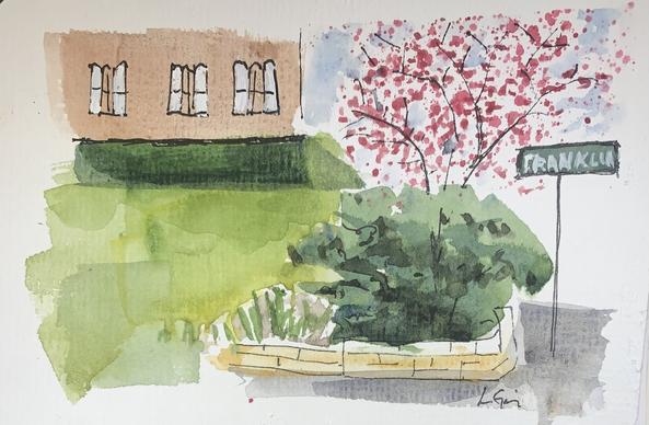 This is a watercolor sketch of a flowering redbud on a street corner.