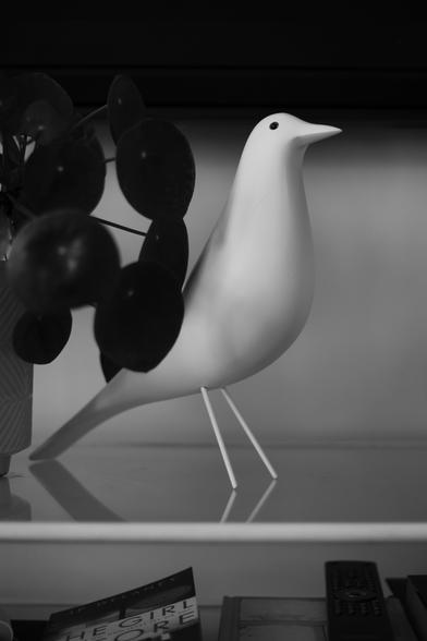 A digital monochrome processed photo of a minimalist bird sculpture with a smooth, silk-matte surface. The bird stands on slender metal legs atop a glossy shelf, partially obscured by the round leaves of a potted plant. Below the shelf, a book and a remote control are softly out of focus. (Photo by me, CC-BY-4.0)