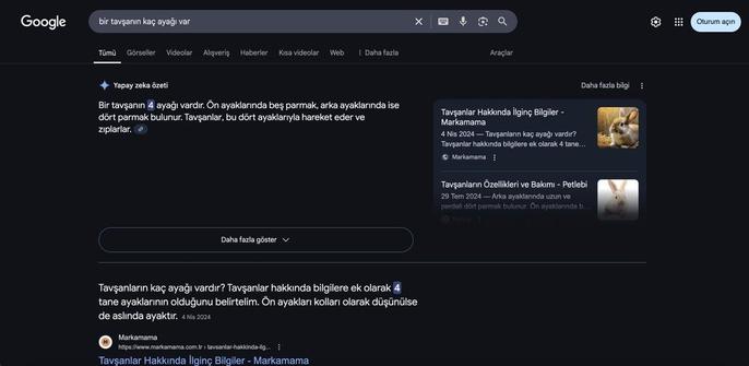 Google on the verge of expanding AI Overviews in more regions within search including Turkey, Sweden, Netherlands and more