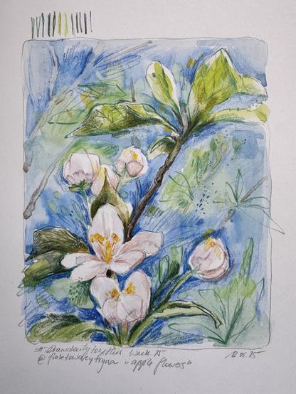 A watercolor illustration of apple blossoms with delicate pink flowers and green leaves, set against a soft blue and green background. The artwork includes handwritten notes at the bottom and copilot swatches with coloured pencil on the top