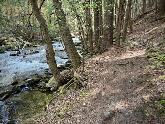 Brook is pretty full and noisily coursing over the boulders. Trail runs alongside