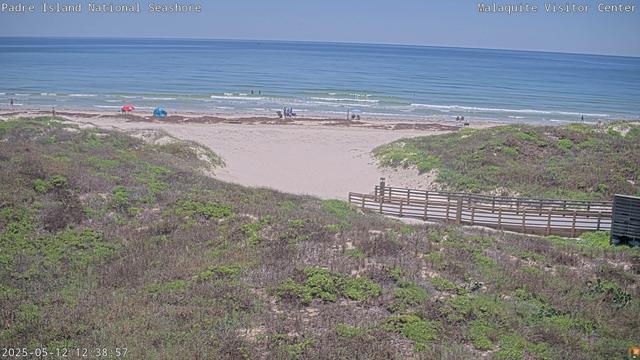 This view from Padre Island National Seashore today shows visitors enjoying the water, which is colored in a variety of blues and greens. Modest waves approach the shore, where umbrellas and beach chairs signal the presence of other visitors. Green and brown vegetation fills the foreground. To the right, a boardwalk links the shore to the outside world.