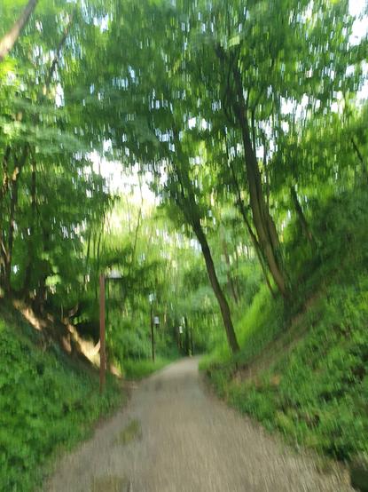an old railway , now a Greenway with overgrown steep banks on both side. itook the pix while moving so it is blurry