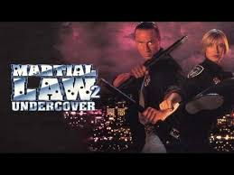martail law 2 undercover