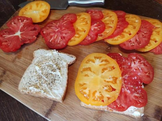Heirloom tomato sandwich 🥪