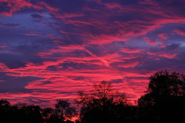 Sunset photo of bright red and pink clouds with blue and purple sky in the background and a treeline below.