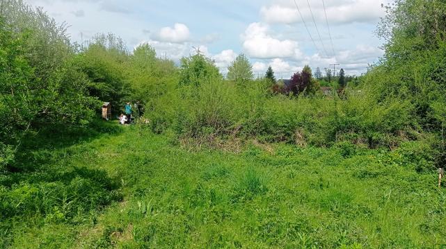Zone herbacée entourée d'arbrisseaux.
Au fond à gauche, on devine un groupe de personnes assises ou debout, et un hôtel à insectes.