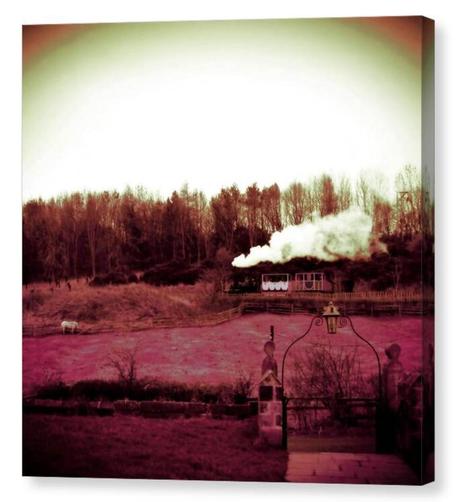 Modified square colour photograph - soft focus and quite pink - showing an old steam train at the bottom of a garden.  The image is displayed printed upon a box canvas.