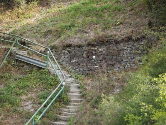Eine schiefe, unebene Treppe aus Naturstein die in einem Bogen von etwa der Mitte des unteren Bildrandes bis etwa Mitte des linken Bildrandes geht. Sie führt durch wild bewachsenes Gelände, man sieht trockenes Gras und verschiedene niedrig wachsende Pflanzen. Quer durchs Bild zieht sich eine Mauer aus Natursteinen un unterschiedlichen Stärken und Formen. Diese dient auch als Stützmauer für den darüber liegenden Hang. An der linken Seite hat die Treppe ein grünes Metallgeländer aus Rohren.