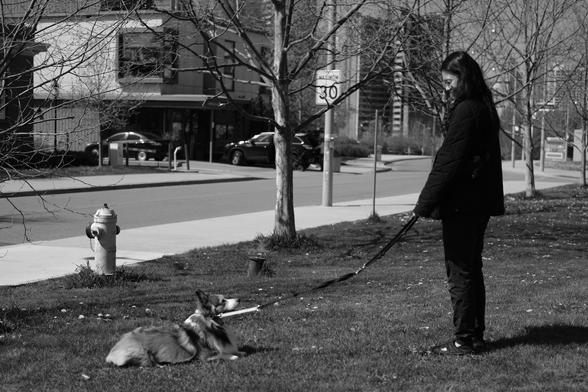 At opposite sides of the frame are a woman and her dog. The dog is lying in the grass and looking up at the woman who is looking down at the dog who is refusing to continue their walk.