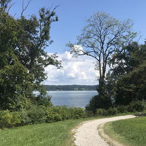 Eine Wiese und Bäume säumen das Ufer eines Sees. Zwischen den Bäumen sieht man den See und das gegenüberliegende Ufer. Auf der Wiese biegt ein sandiger Weg nach rechts ab.