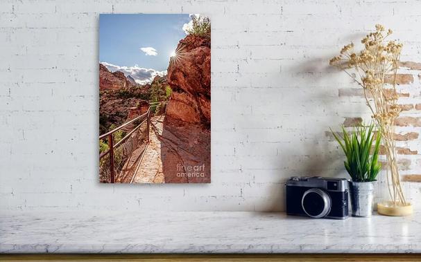 A sunburst sun star along the side of a rock mountain in the evening as we were hiking the Zion Canyon Overlook Trail in Zion National Park. @fineartamerica https://5-jennifer-white.pixels.com/featured/zion-canyon-overlook-trail-sun-star-vertical-jennifer-white.html
#buyintoart #fineart #interiordesign #largeart