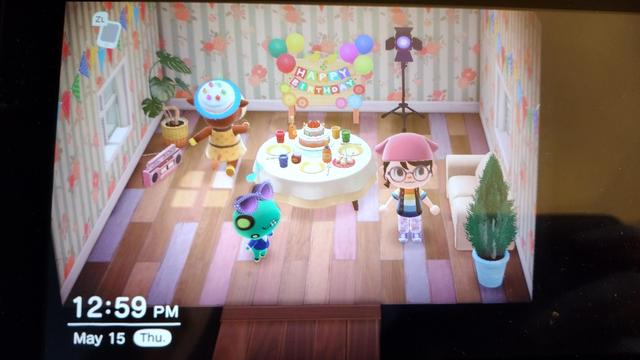 Photo of a Switch showing the player in Patty the Cow's birthday. The date in the corner is May 15th, where her birthday is the 10th
