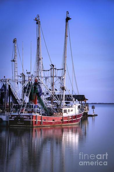 This is a vertical image of a red and white shrimpboat shown with a stunning reflection in the serene blue waterfront set against the evening sky at Shem Creek in Mount Pleasant, South Carolina, not far from Charleston. Photograph was taking during the blue hour near twilight. This artwork is from the Fine Art Gallery of Shelia Hunt.
