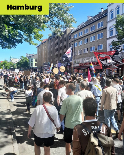Ein Foto des Demozug in Hamburg. Es sind viele Menschen dabei. Ein paar haben Flaggen und Schilder. Die Sonne scheint.