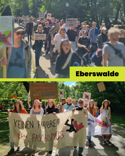2 Fotos des Demozugs aus Eberswalde. Das erste Foto zeigt einen langen Demozug durch einen Park. Es sind viele Menschen mit selbstgemachten Schildern dabei. Eines davon ist auf dem Foto lesbar: "Remigriert euch ins Knie!". Das zweite Foto zeigt den Demozug von vorne. 4 Menschen halten ein Banner "Kein Fußbreit dem Faschismus". Im Hintergrund sind Hecken und Bäume zu sehen. Es ist sehr sonnig.