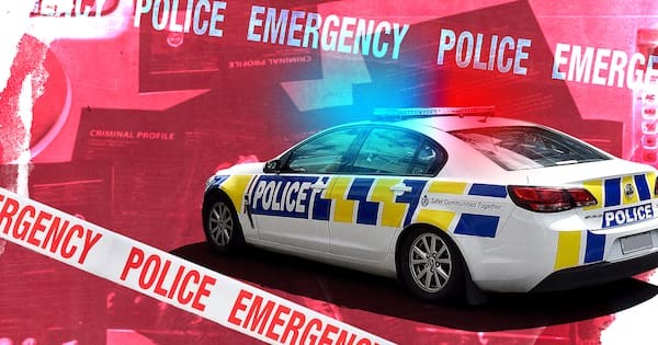 Police car rammed, vehicles hit in Auckland fleeing driver incident