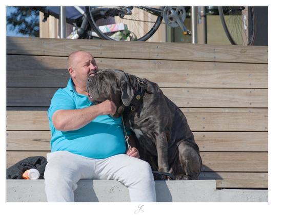 A man in a turquoise polo shirt and his huge, dark gray Mastiff dog sit next to each other on a concrete step. Behind them is a wooden wall to lean against. The man is holding the dog's lead with his left hand, which is resting on his left lap. The man's face is facing the dog's head, the man smiles with his eyes closed, while he cuddles the dog intensely with his right hand. The dog leans its head against the man's chest. He also has his eyes closed, the mouth half open so that one can see his tongue. Both are obviously deeply enjoy the moment. The midday sun illuminates the scene brightly.

AI disclaimer: Using my work, its meta data, written or derived description to create media with or train AI based systems is prohibited.