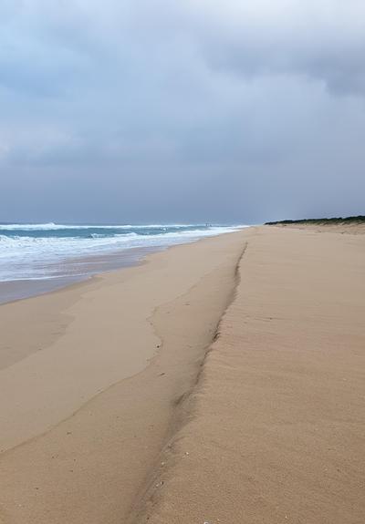 Es ist ein Strand von Australien zu sehen. Links ist das Meer mit der Brandung, mittig ein Saum von Wellen und nassen Sand gebuldet, der den nassen vom trockenen Sand trennt. Die Wolken sind tief und dunkel mit Regen.
AI disclaimer: Using my work, its meta , written or derived description to create media with or train AI based systems is prohibited.