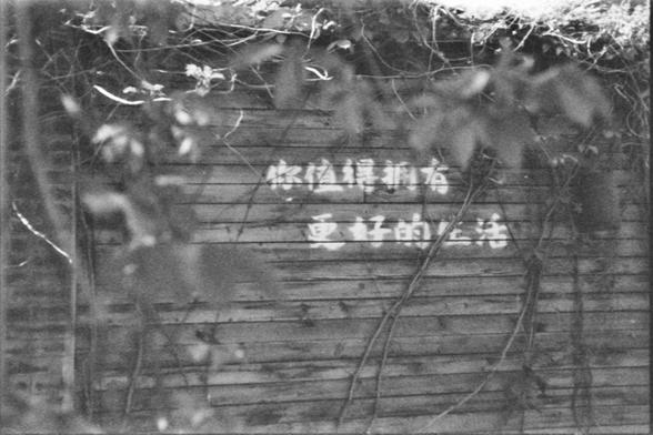 **English:**
A black and white photograph of a wooden fence partially covered by climbing plants. The fence has some Chinese characters written on it. The plants cast shadows on the fence, creating a pattern of light and dark areas.

**Chinese:**
一张黑白照片，展示了一道部分被攀援植物覆盖的木制围栏。围栏上写有一些汉字。植物在围栏上投下阴影，形成了明暗相间的图案。