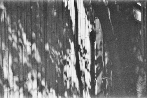 **English:**
A black and white photograph of a bamboo fence. The bamboo stalks are arranged vertically, creating a dense and uniform pattern. The shadows of the bamboo stalks add texture to the image.

**Chinese:**
一张黑白照片，展示了一道竹制围栏。竹子竿垂直排列，形成了一个密集而均匀的图案。竹子的阴影为图像增添了质感。