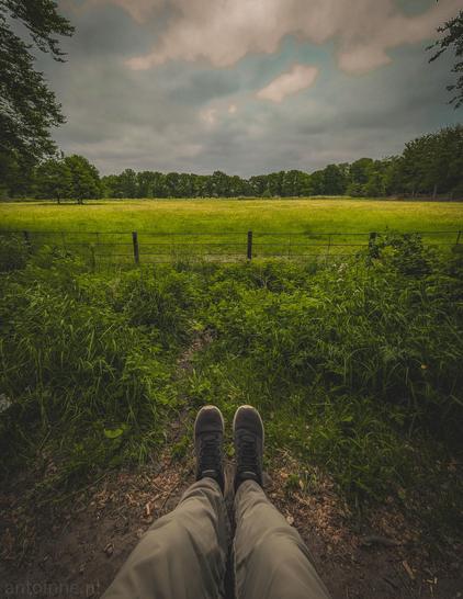 The photo places the viewer right in the middle of a serene outdoor scene. The main subject is a pair of legs and feet, clad in green pants and dark sneakers, extending towards a vibrant green field enclosed by a wire fence. Beyond the fence, the field stretches out under a cloudy sky, with hints of brighter patches peeking through. A line of lush green trees forms a natural border along the horizon, adding depth to the landscape. Closer to the viewer, the ground is covered in tall, wild grass and some leafy vegetation.