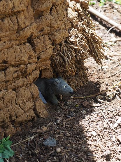 Eine Stoffmaus schaut in Teneriffa aus einer Baumhöhle in einer Palme heraus. Sie scheint sich in ihrem neuen Loch sehr wohl zu fühlen.