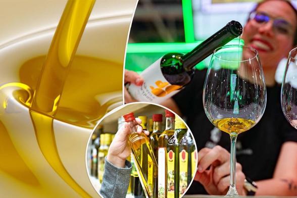 Will olive oil make you fat? Experts doubt Mediterranean diet hype