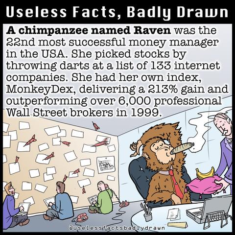 A chimpanzee named Raven was the 22nd most successful money manager in the USA. She picked stocks by throwing darts at a list of 133 internet companies. She had her own index, MonkeyDex, delivering a 213% gain and outperforming over 6,000 professional Wall Street brokers in 1999.