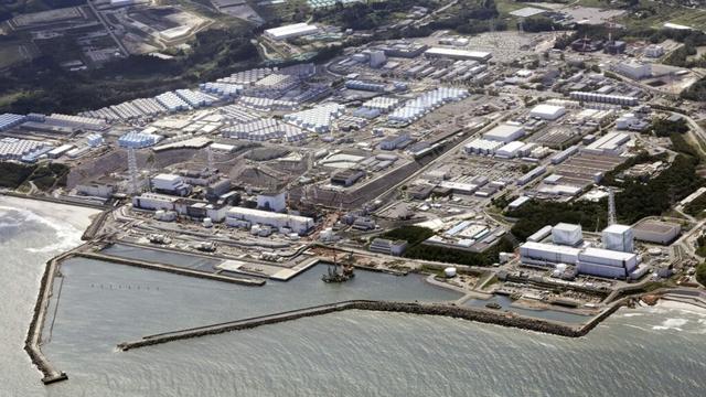 Japan to use slightly radioactive soil from Fukushima on flowerbeds at prime minister's office