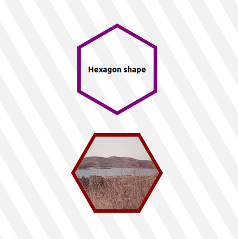 Two hexagon shapes with borders