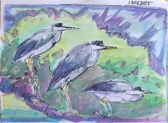 Aquarellskizze: 3 mal steht  derselbe Vogel in verschiedenen Positionen auf einem Ast über dem Wasser, dahinter Büsche