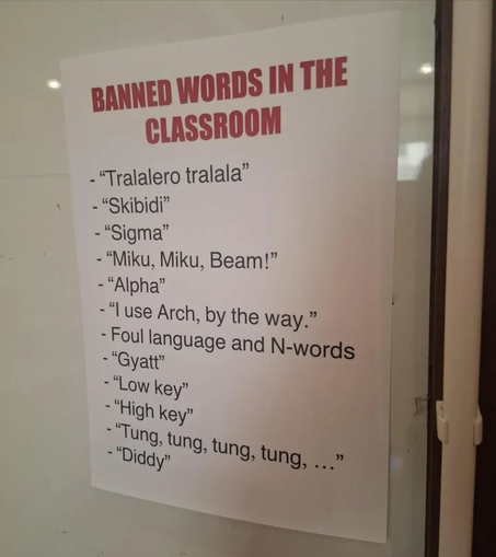 "Banned words in the classroom" sign.

"Tralalero tralala"
"Skibidi"
"Sigma"
"Miku, Miku, Beam!"
"Alpha"
"I use Arch, by the way."
Foul language and N-words
"Gyatt"
"Low key"
"High key"
"Tung, tung, tung, tung, ..."
"Diddy"