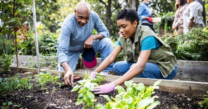 ‘Lasagna Gardening’ Is The New Green Trend Everyone Loves — but Experts Say It May Not Be Perfect