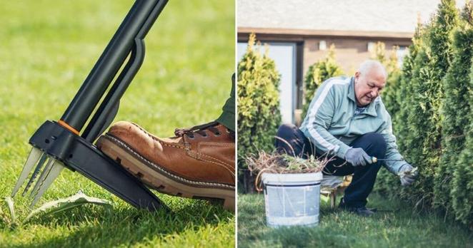 Amazon’s Stand-up Weed-Puller Is on Sale and It’s a Boon for Gardeners With Arthritis and Back Pain