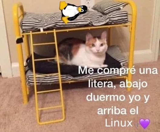 Gato en un camarote (cama de dos pisos). Abajo hay un gato que dice: Me compré una litera, abajo duermo yo y arriba el linux. En la cama superior está tux, el pingüino de linux