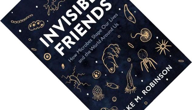 Invisible Friends