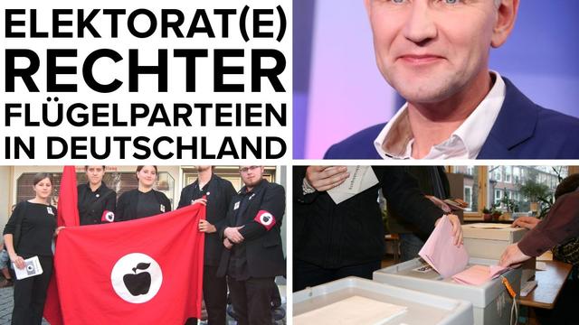 Elektorat(e) rechter Flügelparteien in Deutschland