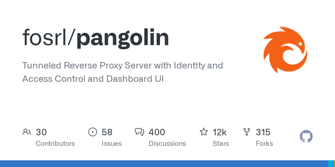 Tunneled Reverse Proxy Server with Identity and Access Control and Dashboard UI - fosrl/pangolin