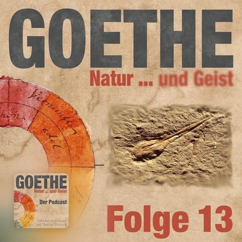 Goethes Flugsaurier
