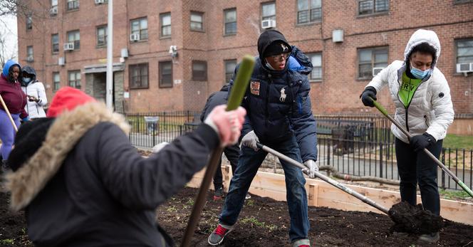 Members of Green City Force, an AmeriCorps service and training program, in Staten Island in 2022.