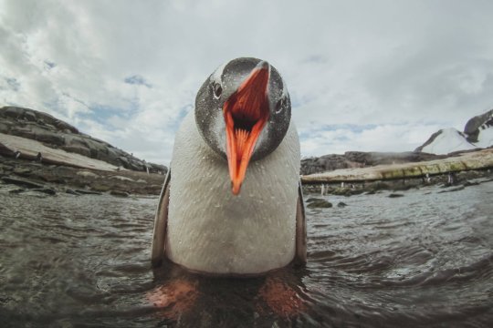 watch-out-for-any-linux-malware-sneakily-evading-syscall-watching-antivirus-–-source:-gotheregister.com