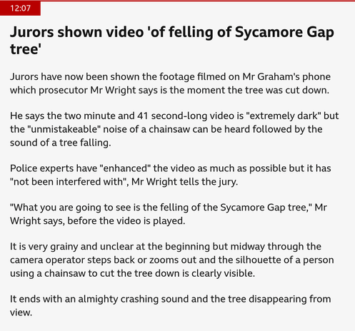 Screenshot of a BBC news article. Jurors shown video 'of felling of Sycamore Gap tree'