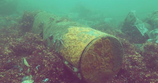 runder langer Zylinder in grünlichem Wasser, bewachsen mit Muscheln und Seesternen