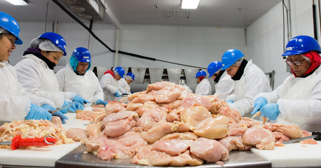 Poultry cutters working in a chilled room with a pile of raw meat