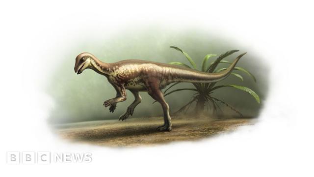 A drawing of the Enigmacurser dinosaur. It shows the two-legged dinosaur standing on the ground with a long tail and two hands. A green fern is in the background