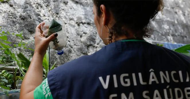 Mulher de cabelos cacheados presos vestindo colete da Vigilância em Saúde coleta larvas de mosquitos da dengue.