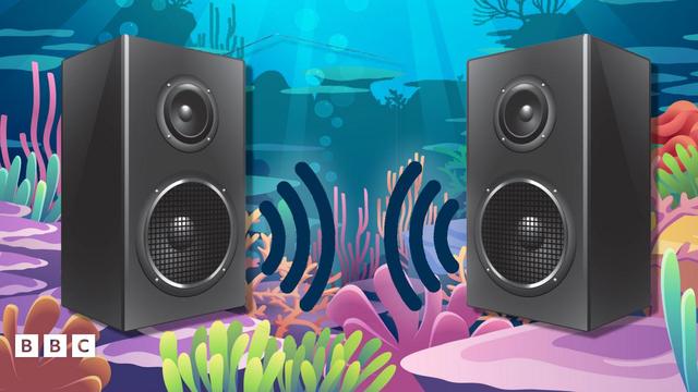 Cartoon of speakers under the water on a coral reef